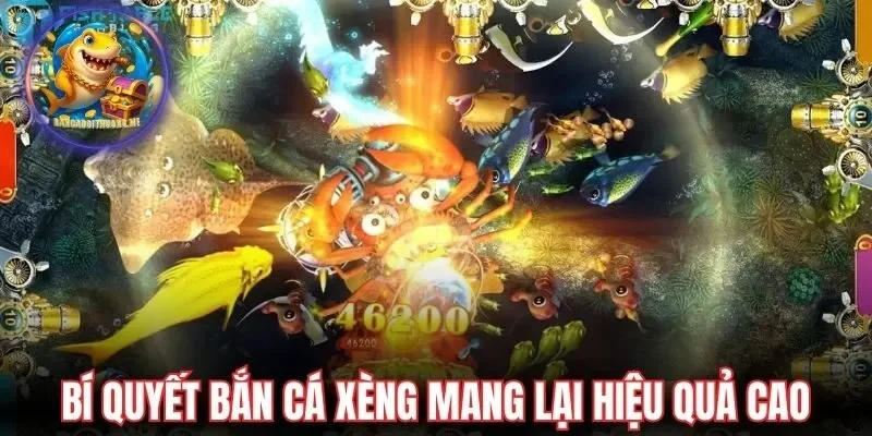 Bắn Cá Xèng