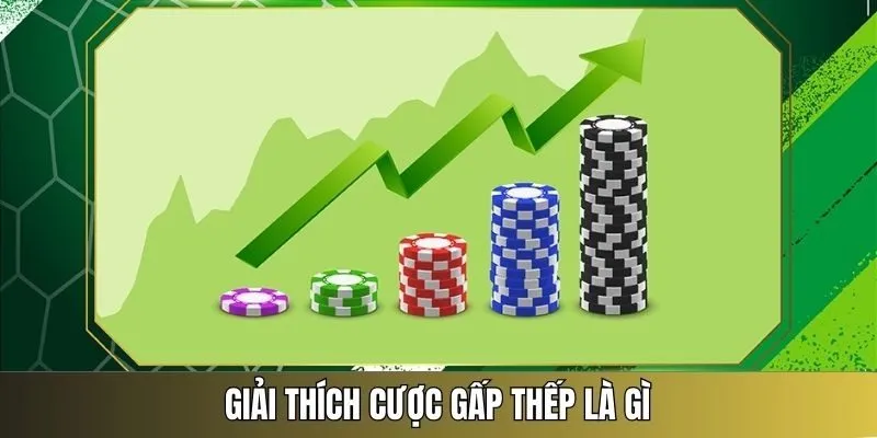 Lô gấp thếp là gì